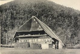 MONO-Karte 1906 - Schwarzwaldhaus, Strohdach, Landwirtschaft