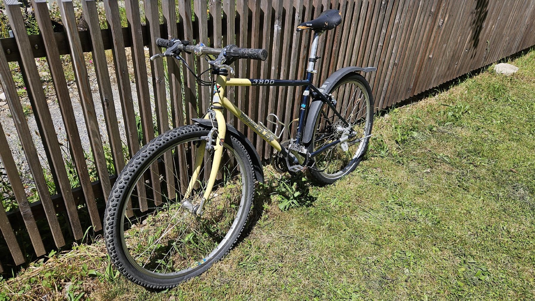 Wheeler Biciclette: WHEELER 3800 Mountainbike – Usato da Zürich venduto da Kingphil1 1