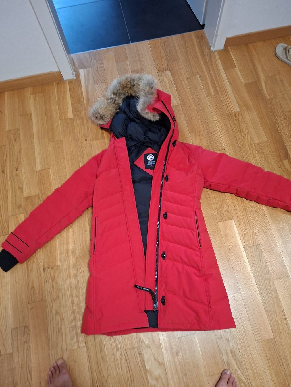 Canada Goose Cappotti: Canada Goose Arctic Program Damen Parka – Grösse S – Usato da Kloten venduto da Szilvi15
