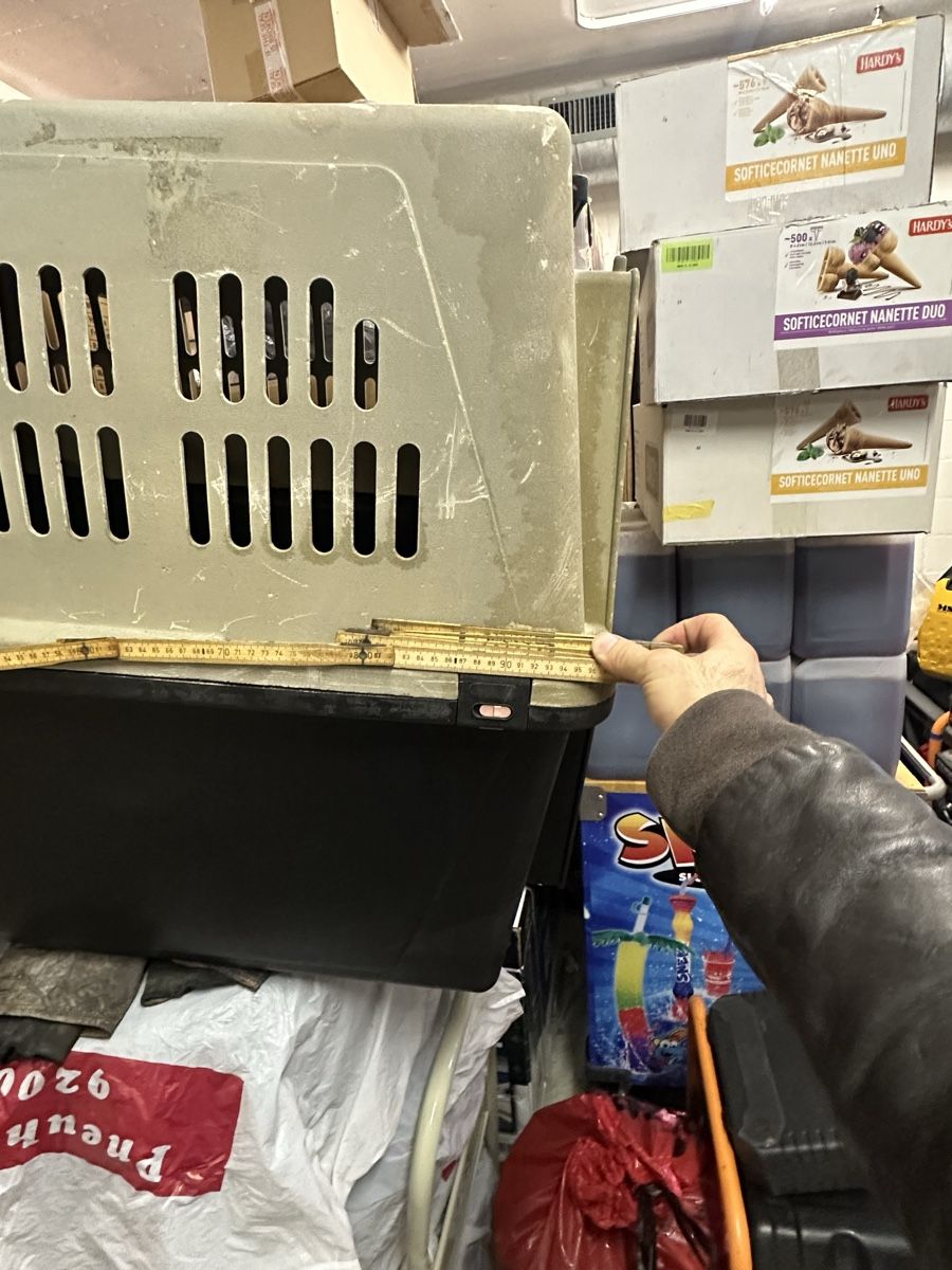 Gabbie, trasporto & Sicurezza: Hundebox – Usato da Winterthur venduto da lulu0128 4