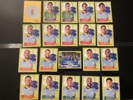 WM 2026 Panini URU Vollständiges Team