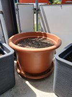 Blumentopf mit Untersetzer braun Groesse L guter Zustand