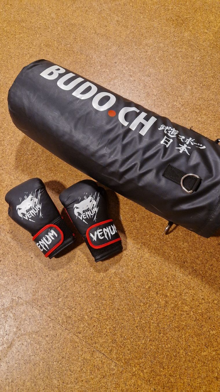 Sacchi da boxe: Boxsack mit Handschuhe – Usato da Rütihof venduto da Madigstens 1