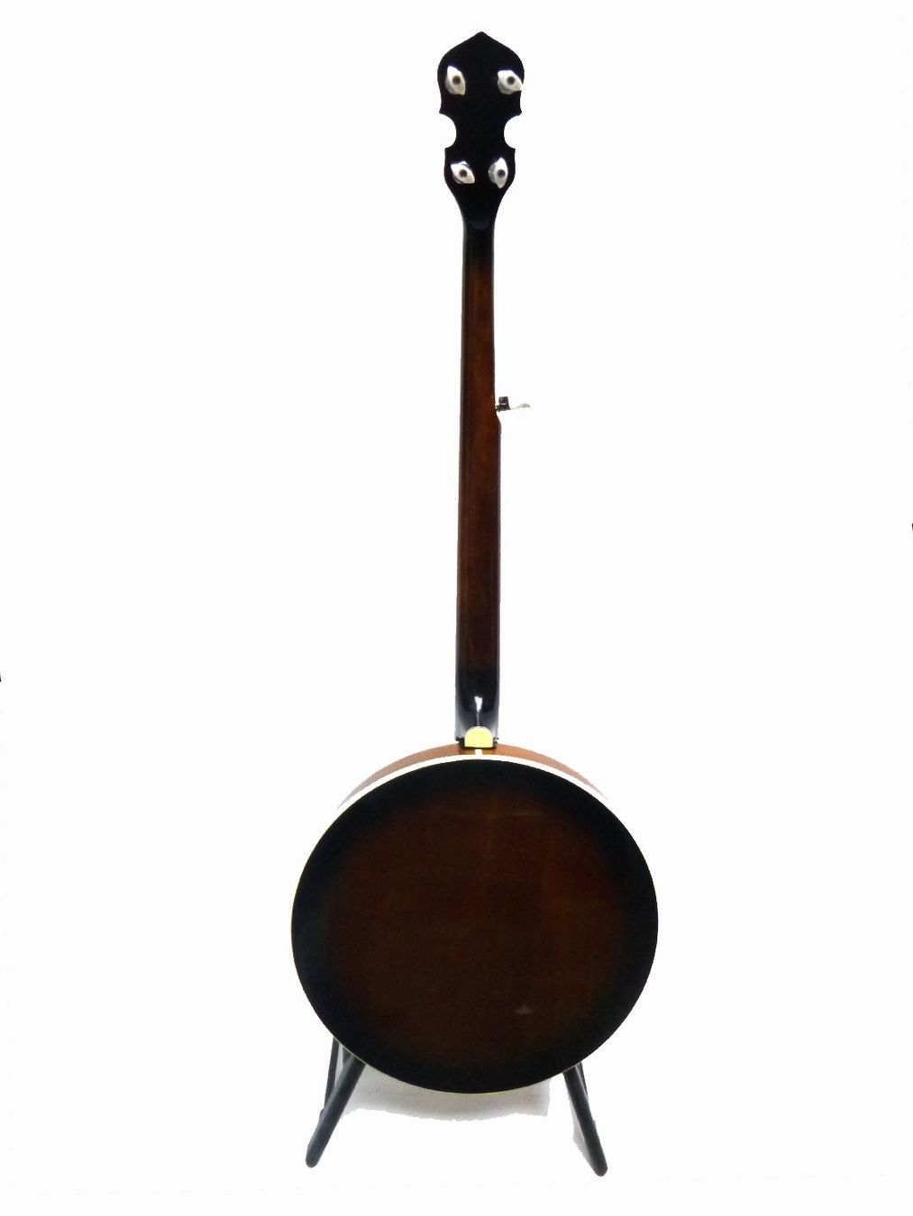 Strumenti musicali: GOLD TONE BG-150F – Nuovo e nell'imballaggio originale da Schaffhausen venduto da Saitensprung_SH 1
