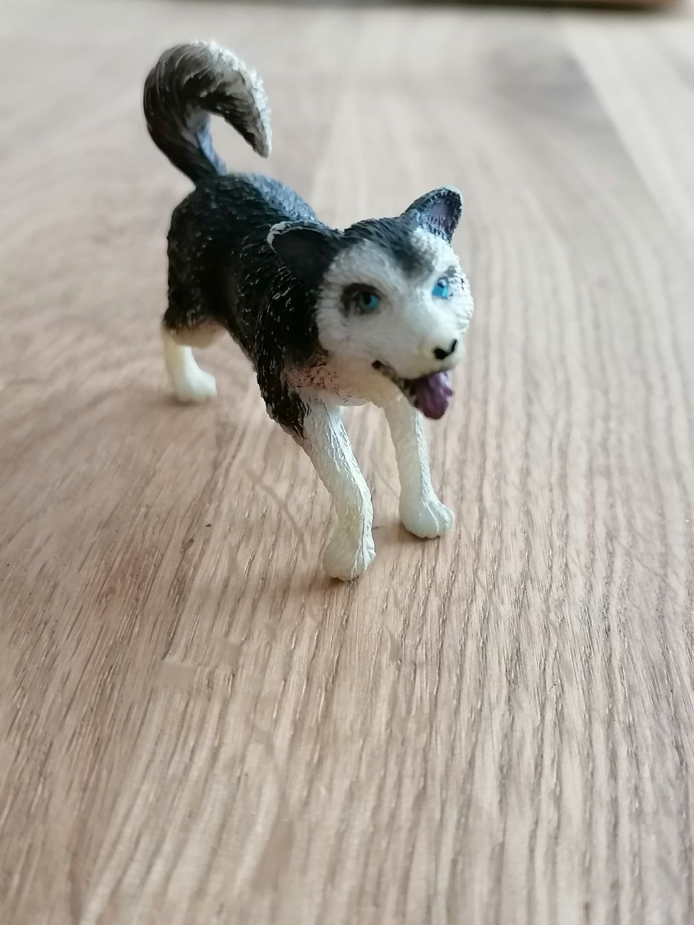 Bullyland Statuette: Bullyland - Husky Figur – Usato da Basel venduto da vintagecollector 3