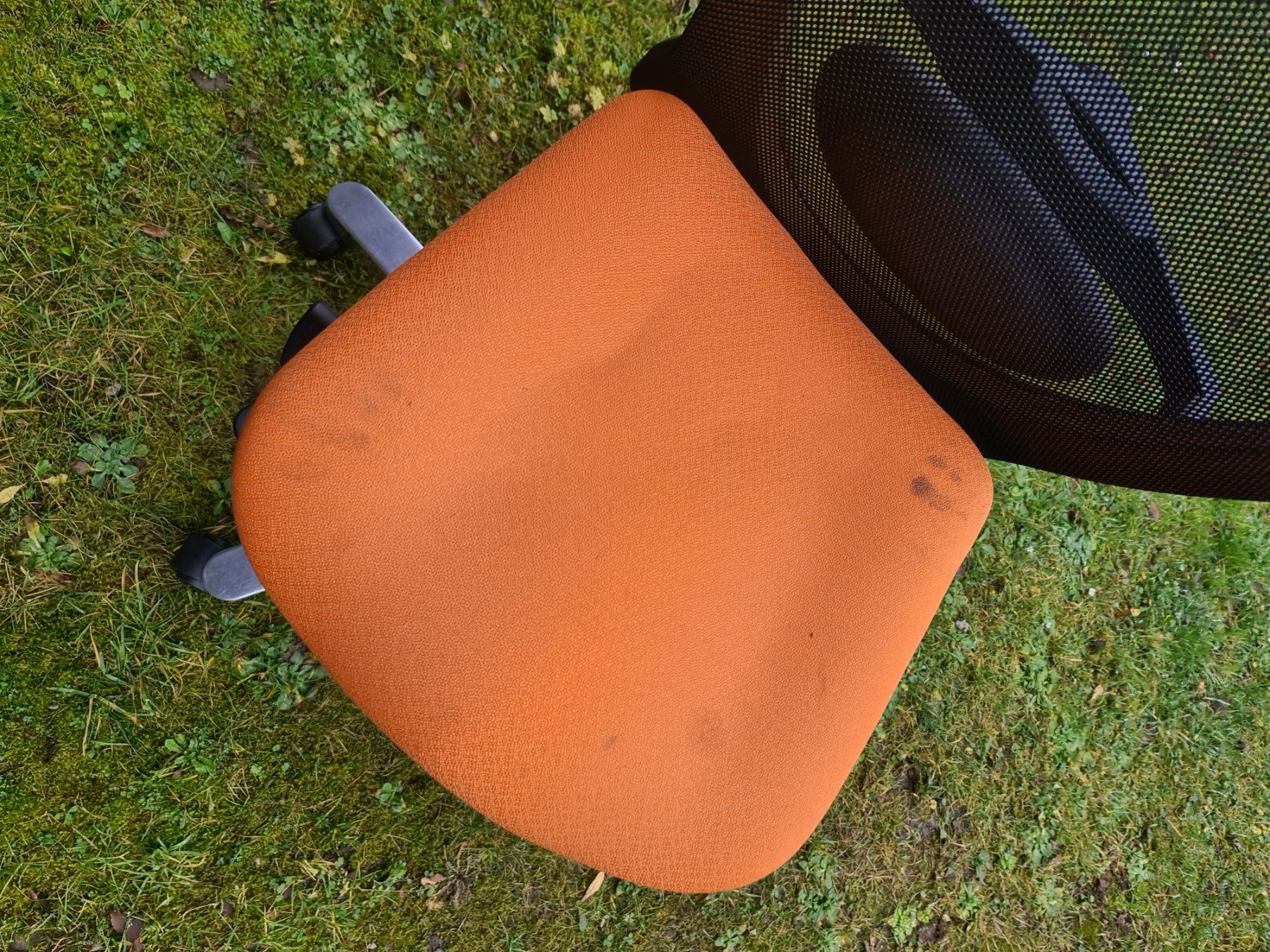 Sedie: Ergonomischer Bürostuhl, OMLIN orange – Usato da Niederlenz venduto da DaveDasWahnsinn 2