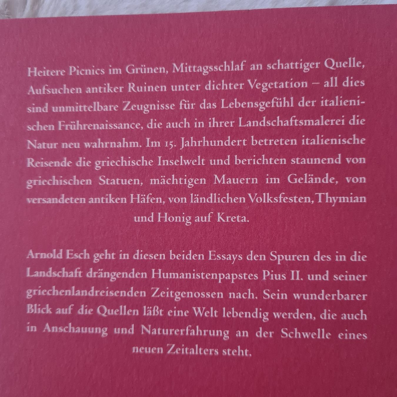 Libri: Landschaften der Frührenaissance von Arnold Esch – Usato da Horgenberg venduto da Klatschmohnmaria 1