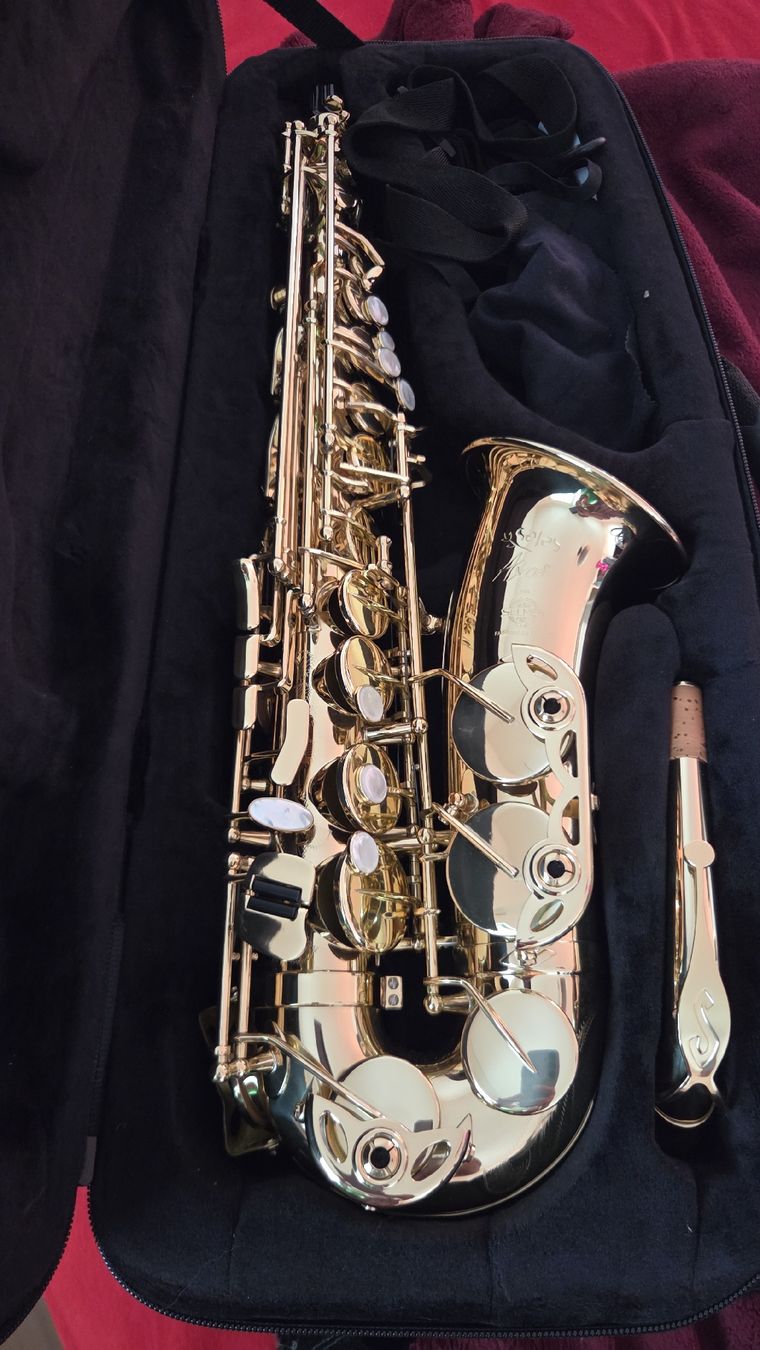 Selmer Strumenti musicali: alt Saxophon selmer – Usato da Wollerau venduto da flitzi88