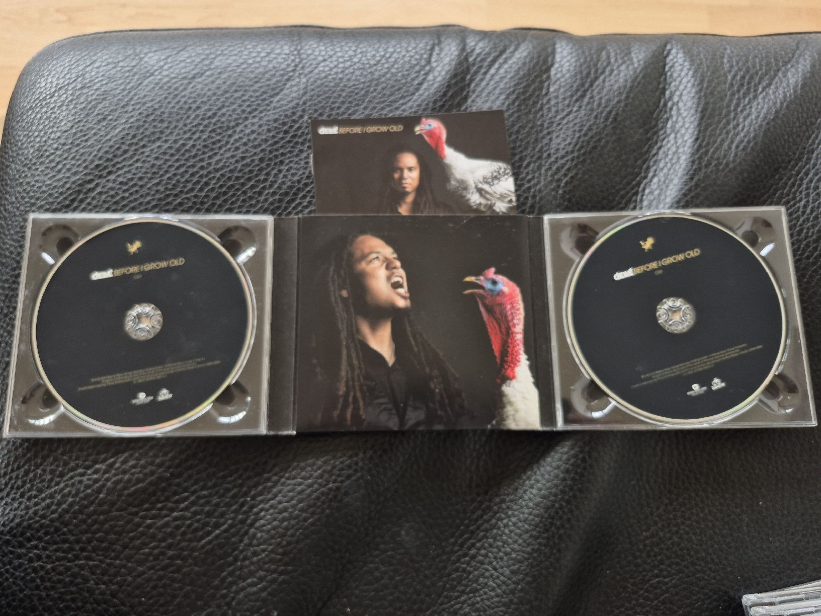 CD: dellé - Before I grow old (Doppel CD) – Usato da Bern venduto da Roibusch 1