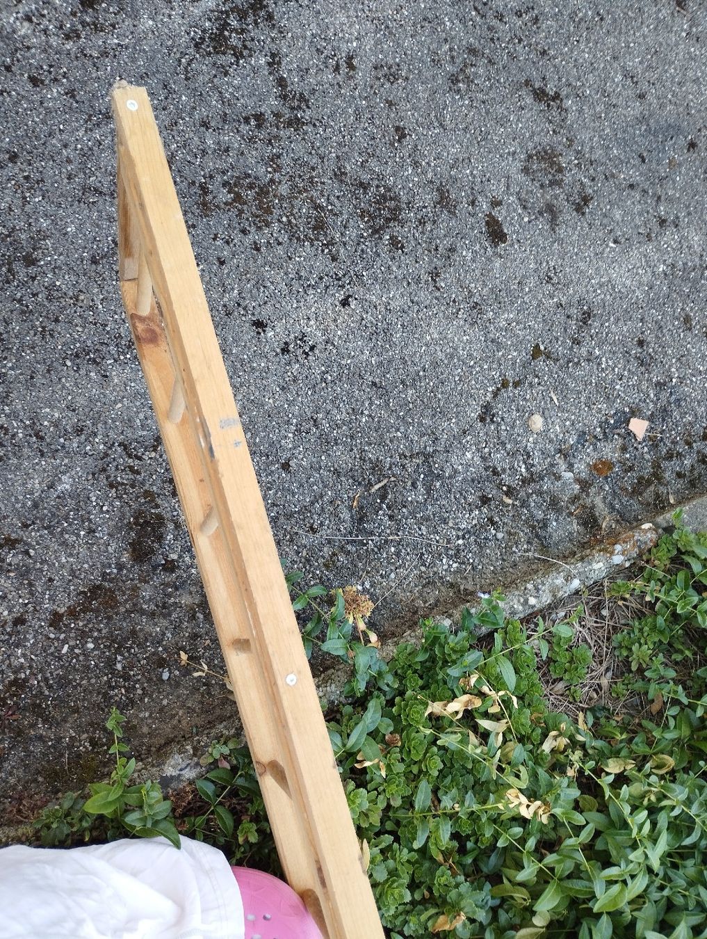 Echelles: Holzleiter Leiter natur – D'occasion à Ostermundigen par Dinge1 4