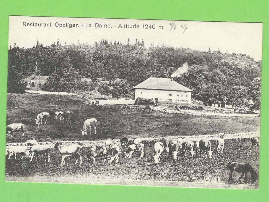 Cartes postales: La Dame, Restaurant Oppliger – Neuf (Voir description) à Zürich par t24_de