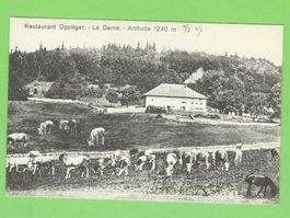 La Dame, Restaurant Oppliger