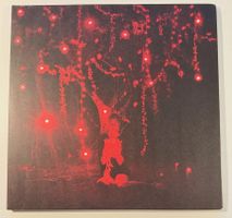 Sophie Hunger – The Danger Of Light (Doppel-LP)