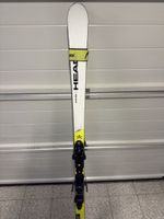 Ski Head i.GS RD Team 173 cm mit Bindung gebraucht