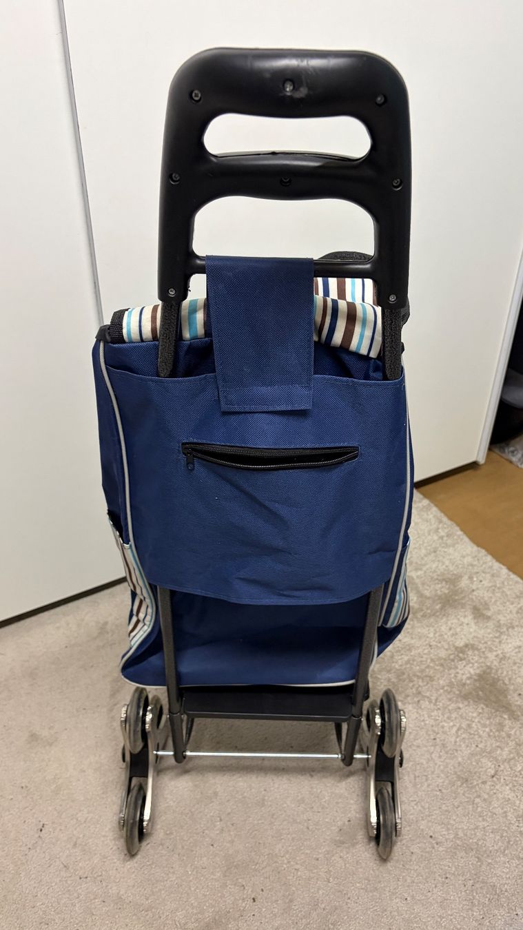 Carrelli di trasporto: Einkaufen rollwagen – Nuovo (secondo la descrizione) da Liestal venduto da Goldart 2