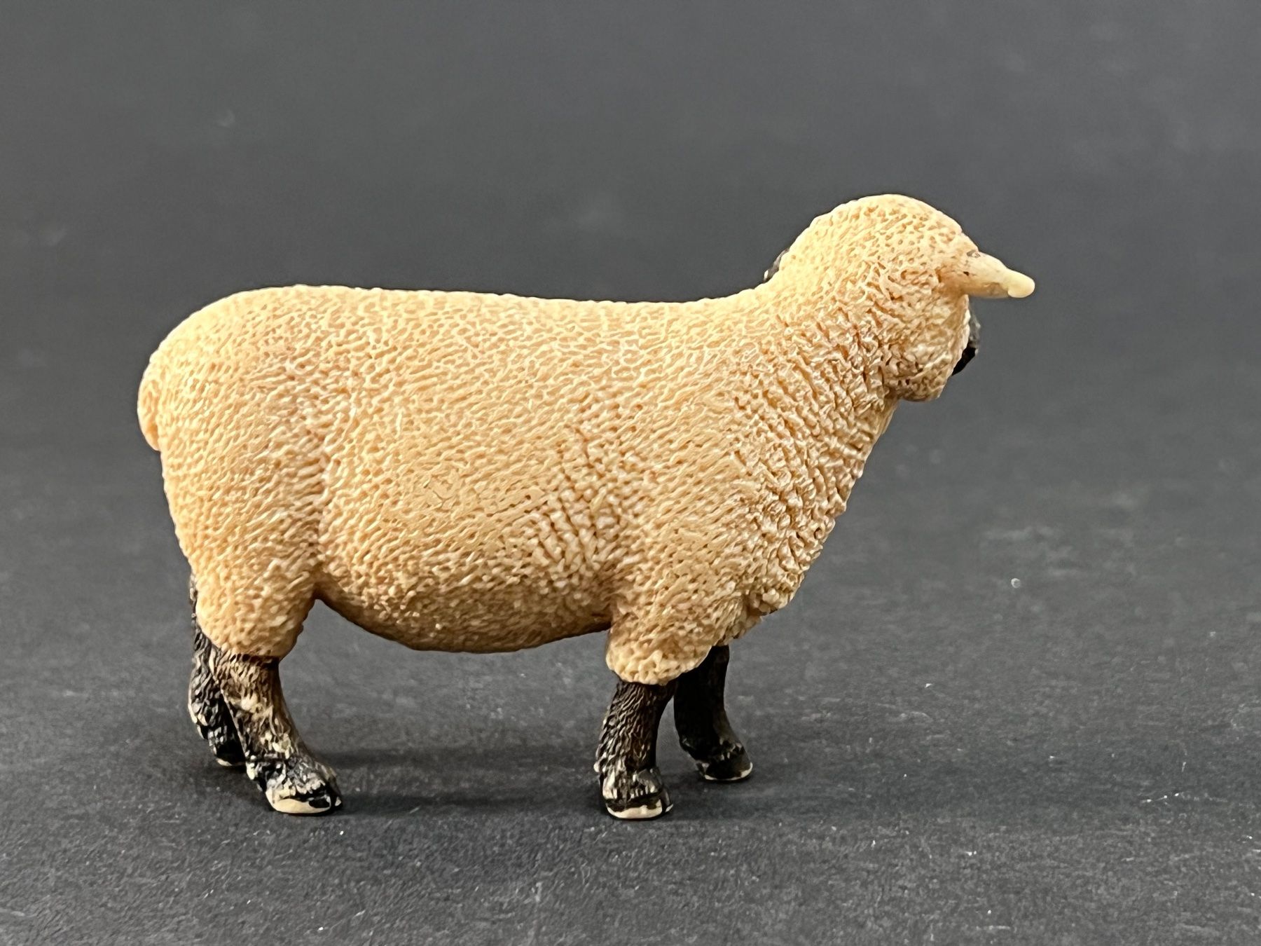 Schleich Figuren: Schleich 13681 Shropshire Schaf – Gebraucht aus Ennetbaden von mapa05 7