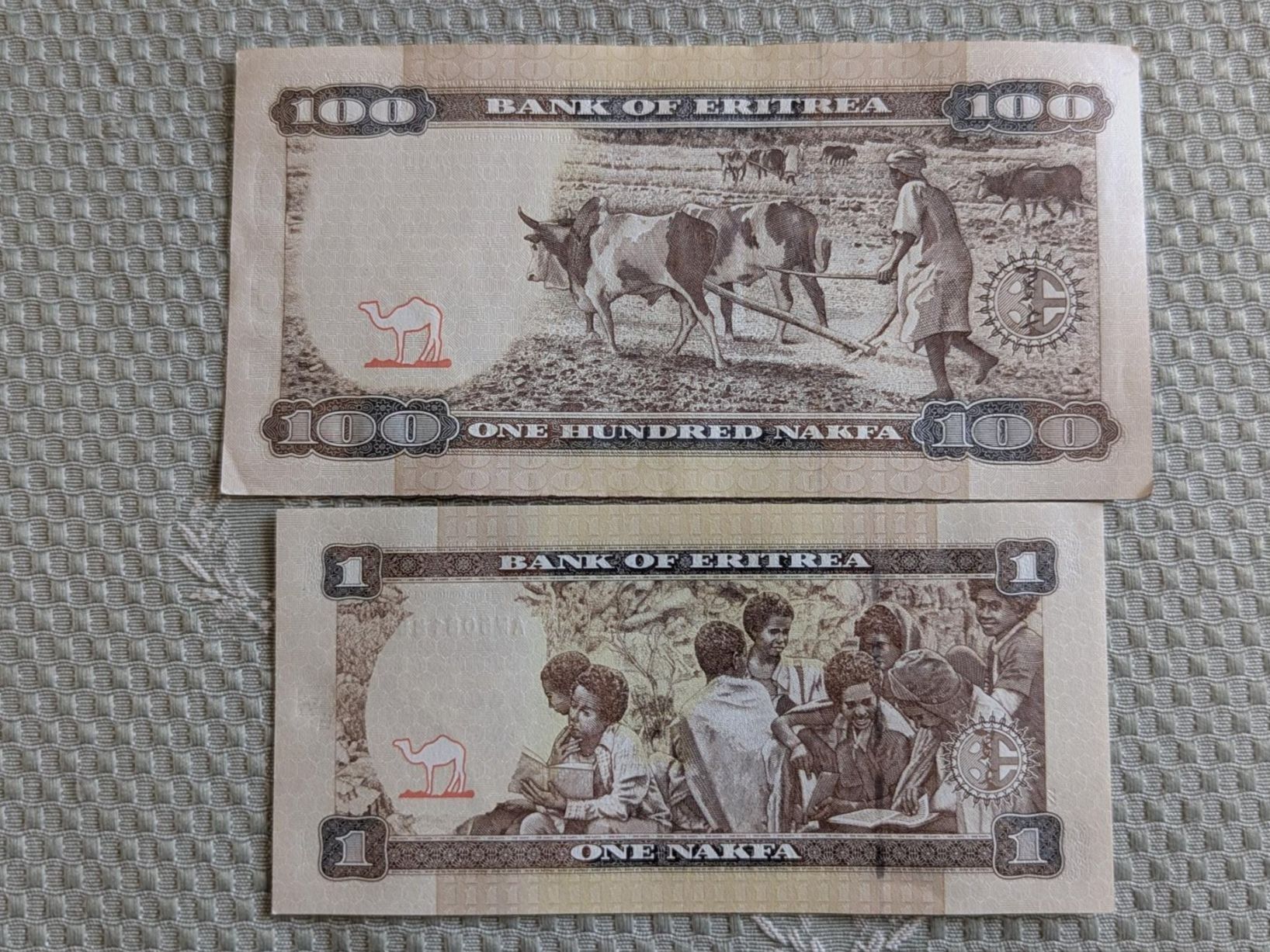 Banknoten: Eritrea banknotes ,delivery mi September – Gebraucht aus Porrentruy von jmbechir 1