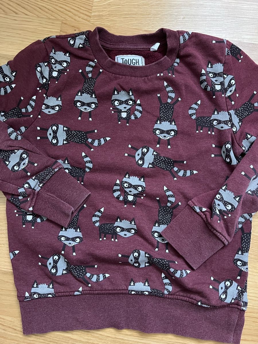 Lotti & Set di vestiti: Jungen Sweatshirts Pullover Gr. 134 – Usato da Liestal venduto da Katakinga 4