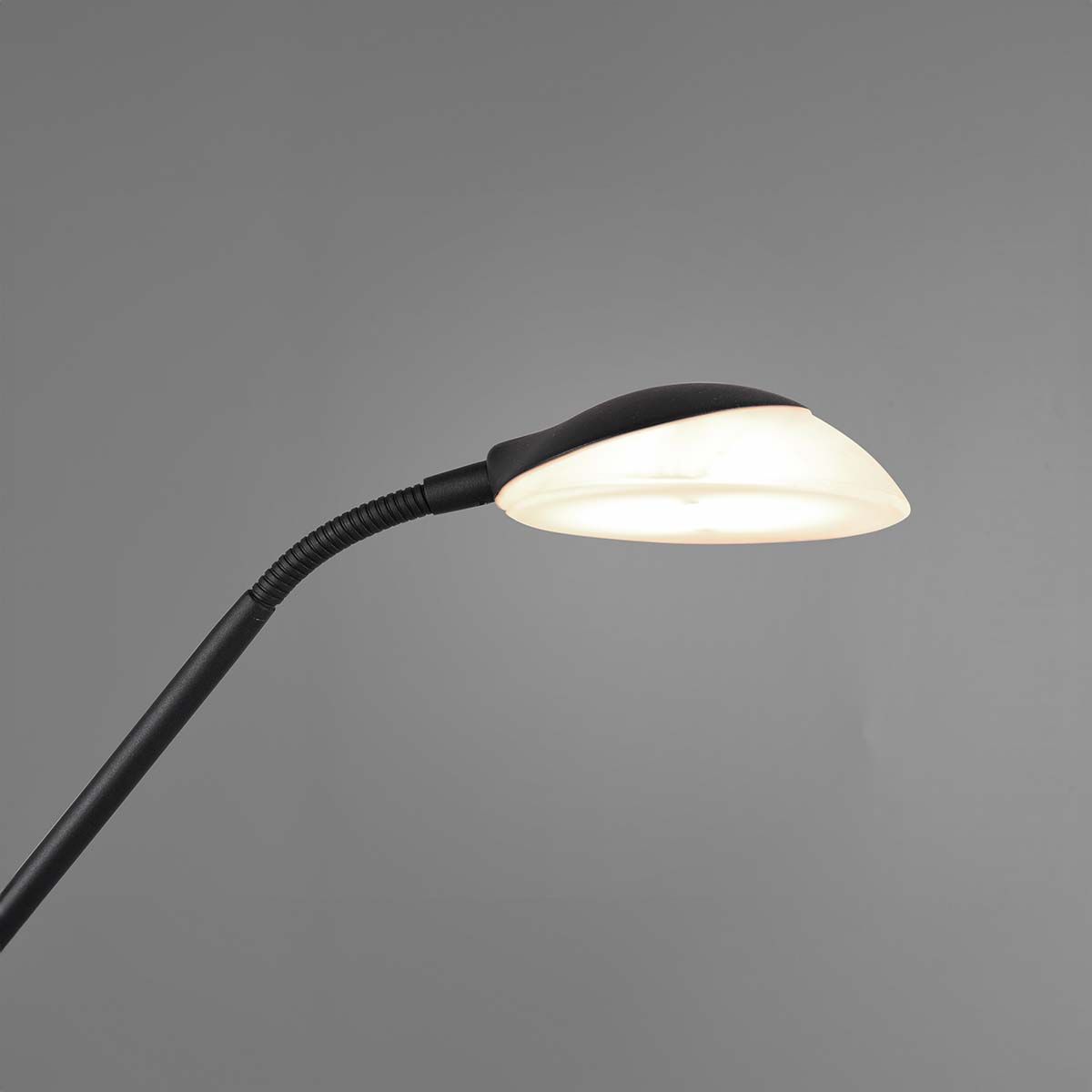 Lampen: LED Stehleuchte, Dimmbar, 180 cm Höhe – Neu (gemäss Beschreibung) aus Kreuzlingen von Smart-Light 2