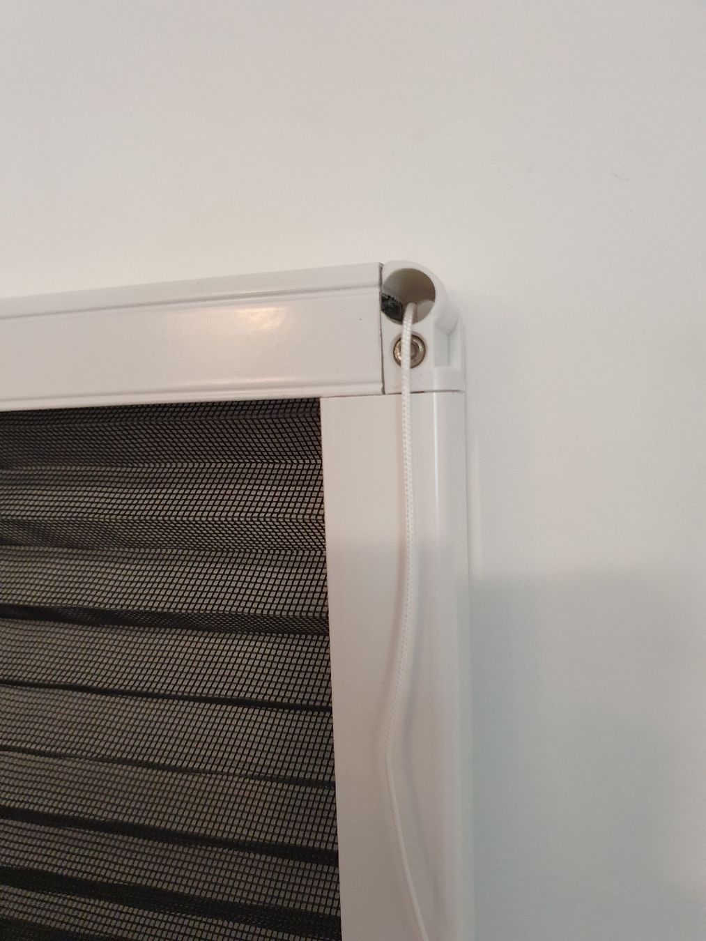 Fensterläden: Blisse, Insekten und Schatten – Gebraucht aus Winterthur von Rubinof 7