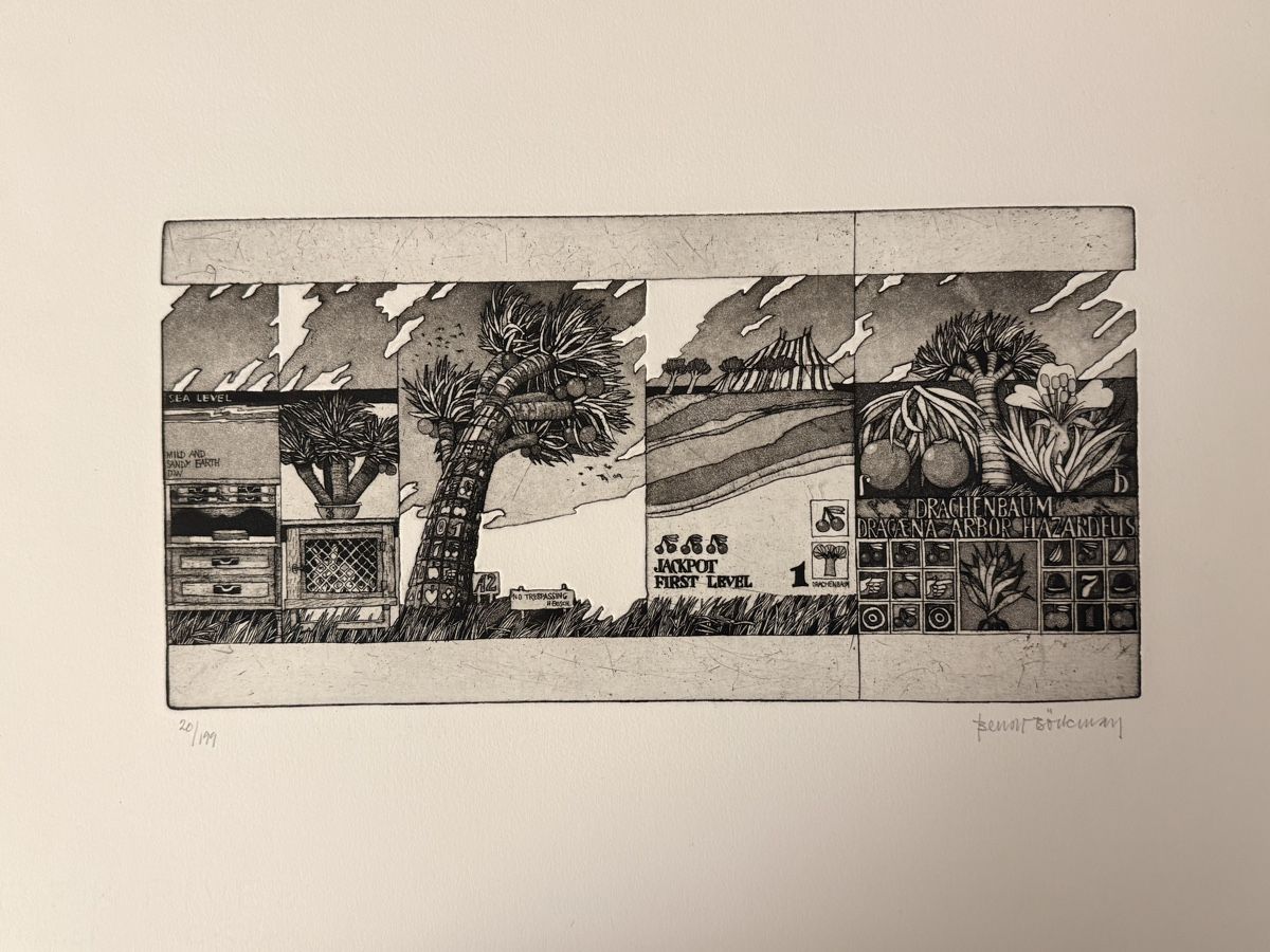 Grafica & Litografie: Bengt Böckman - Radierung – Usato da Solothurn venduto da NUVICO 1