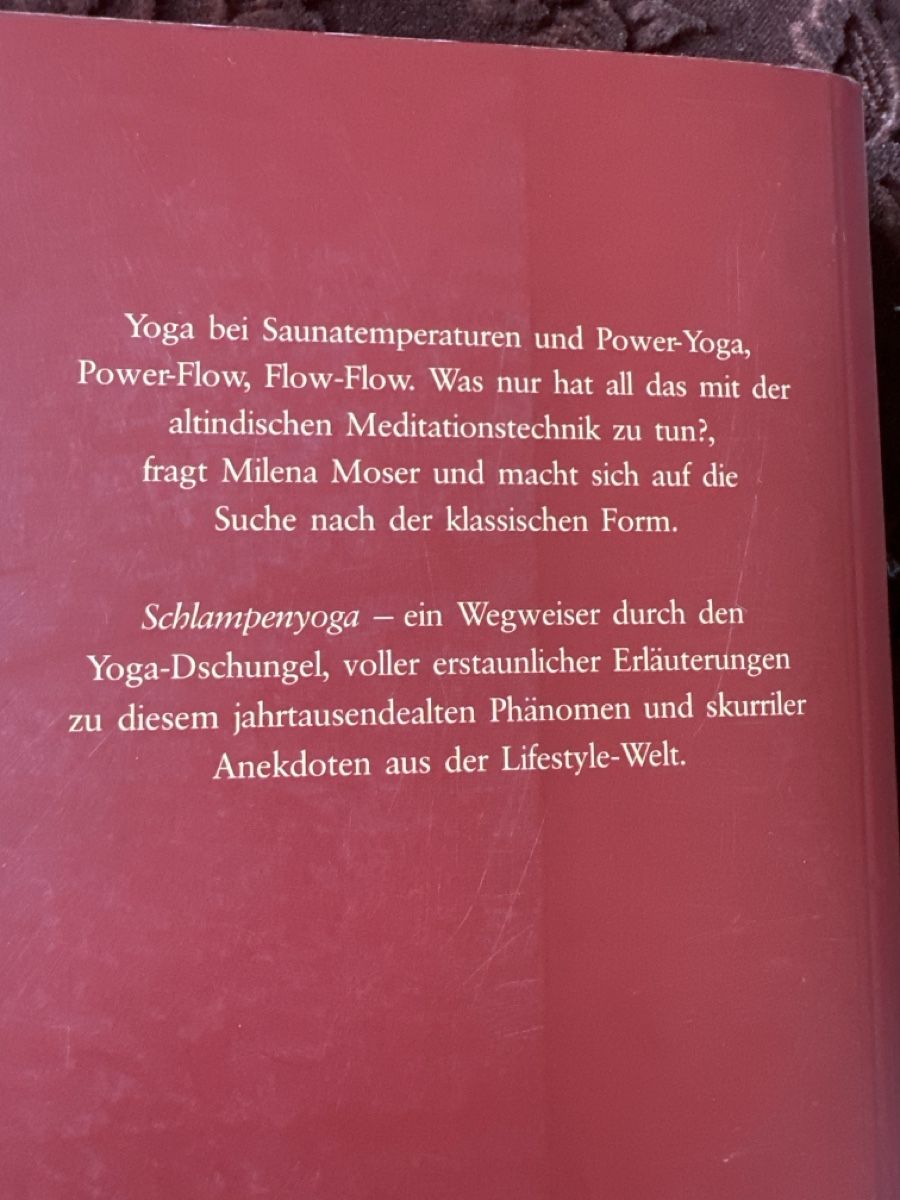 Bücher: Milena Moser, Schlampenbuch – Gebraucht aus Bern von Ibizaflow 1