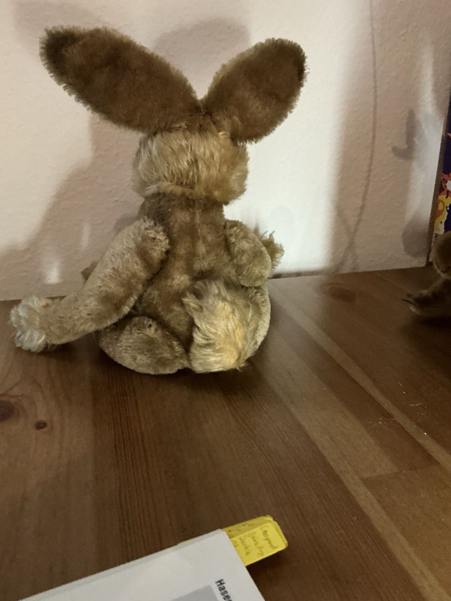 Steiff Spielzeuge: Steiff Lulac ( Hase ) – Gebraucht aus Basel von S.Wehrli72 2