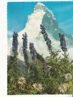 Matterhorn ca. 1960