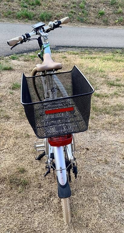 Biciclette: Allegro e-Bike Discovery – Usato da Zeiningen venduto da bur_vtl8 2