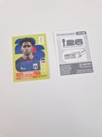 Panini Sticker CPV10