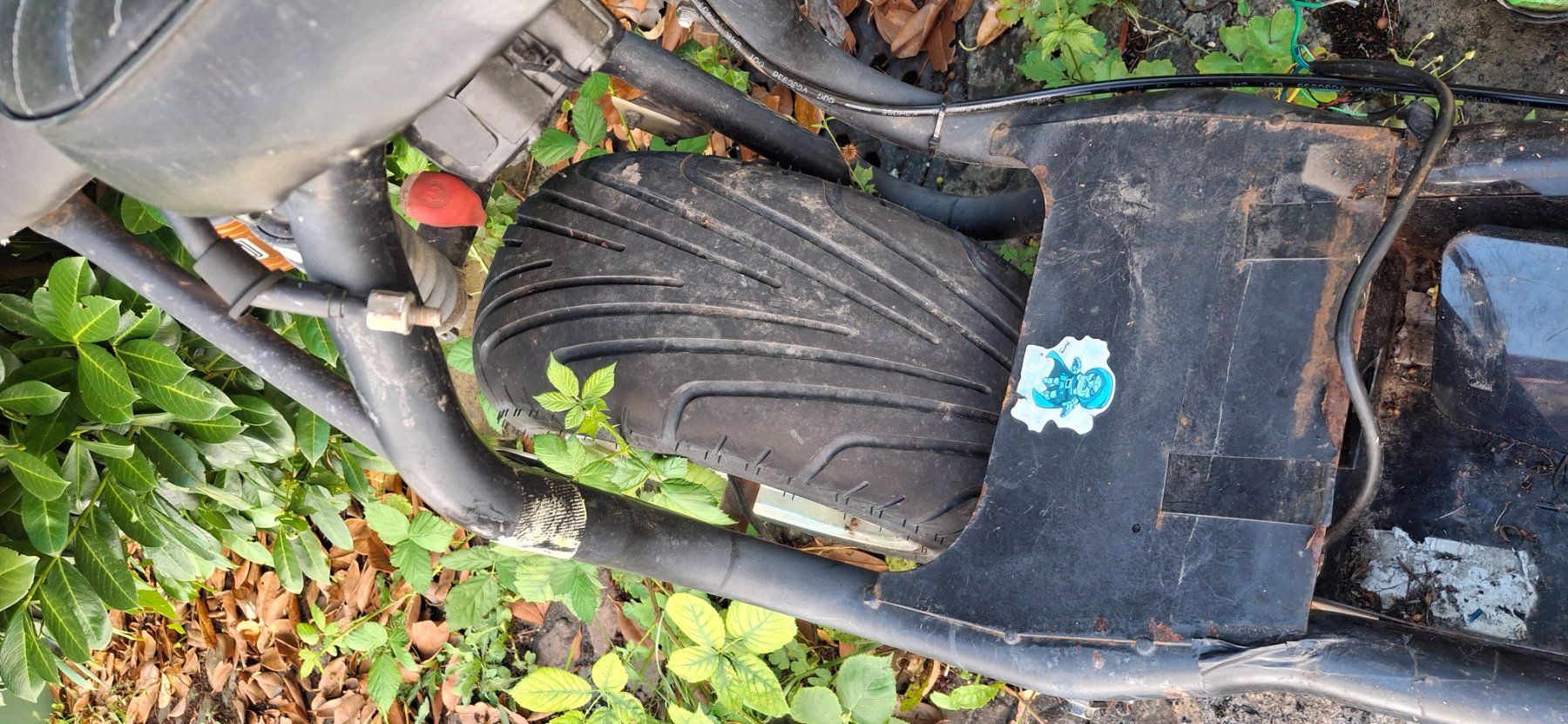 Citycoco Scooters: City Coco E Scooter – Defekt aus Kyburg von JBMNT2020 8