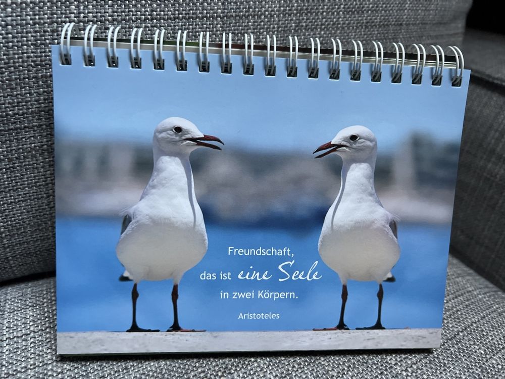 SprücheKalender Kaufen auf Ricardo