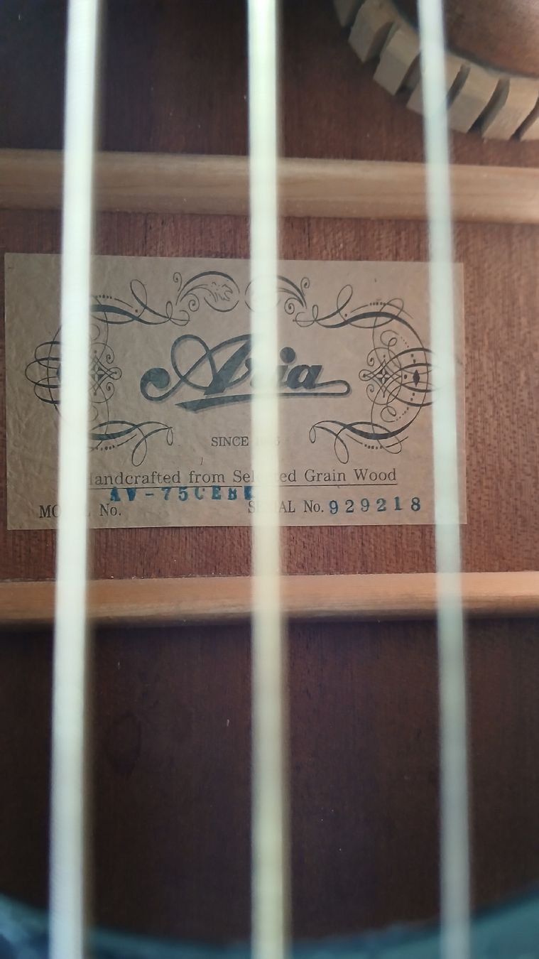Aria Strumenti musicali: Akustikgitarre Aria – Usato da Bern venduto da jeatricks 1