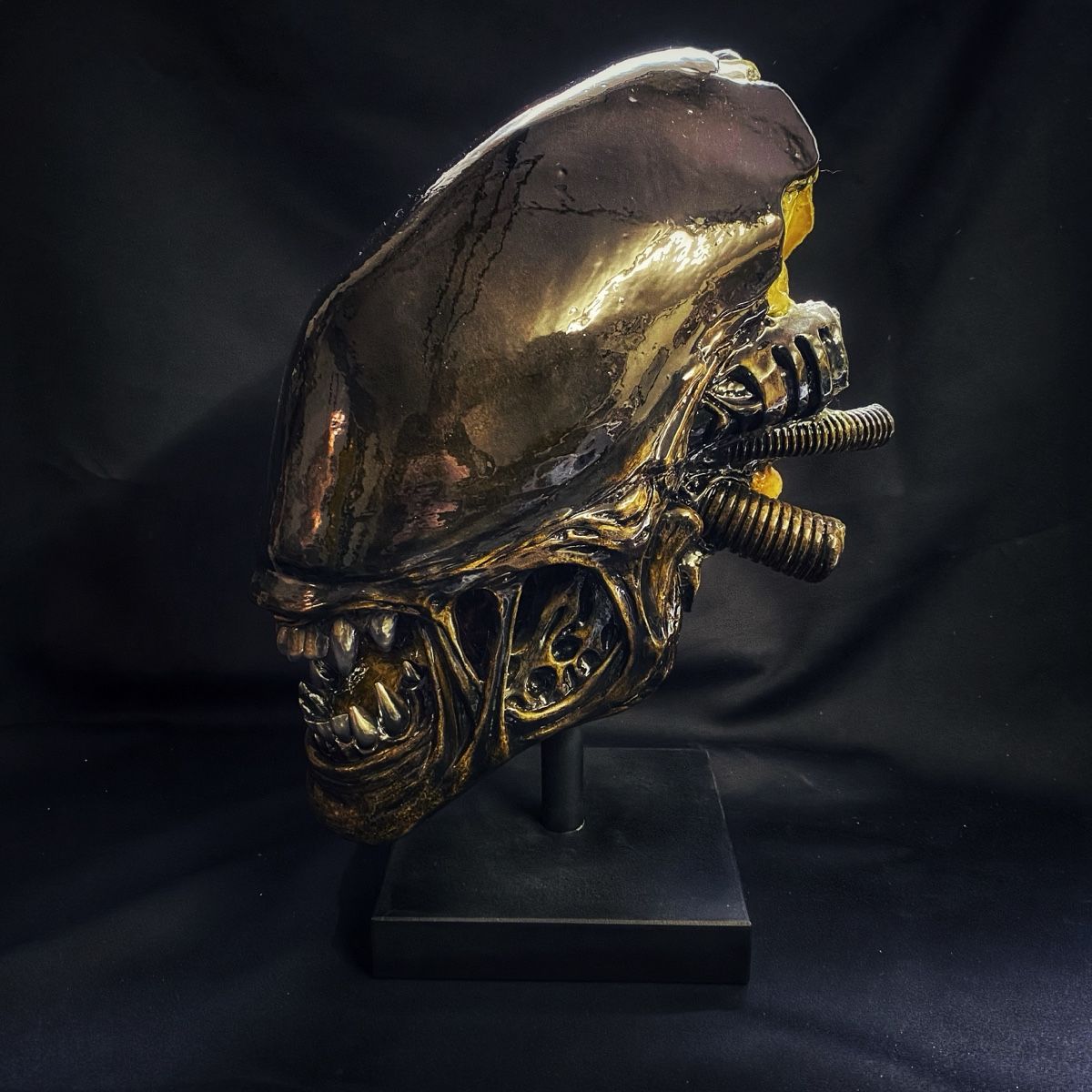 Figuren: Alien Lifesize, AvP Xenomorph Giger, not Sideshow Coolprops – Neu (gemäss Beschreibung) aus Glattfelden von Ak_5bL 1
