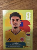 Panini Fifa COL 20