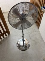 Shiny Metal Mio-Star Pedestal Fan - Perfect for Summer! 💨