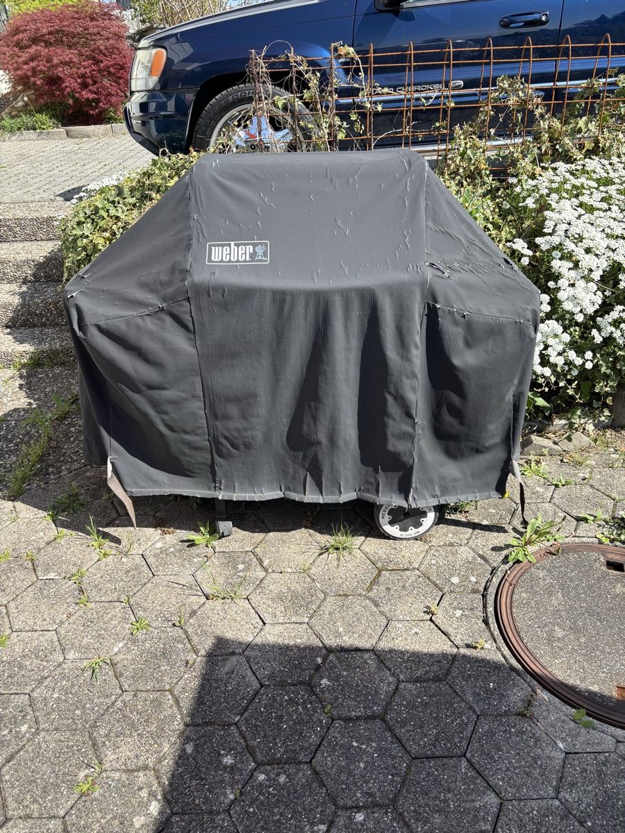 Weber Griglie: Weber Spirit – Usato da Ballwil venduto da Buggy20 5