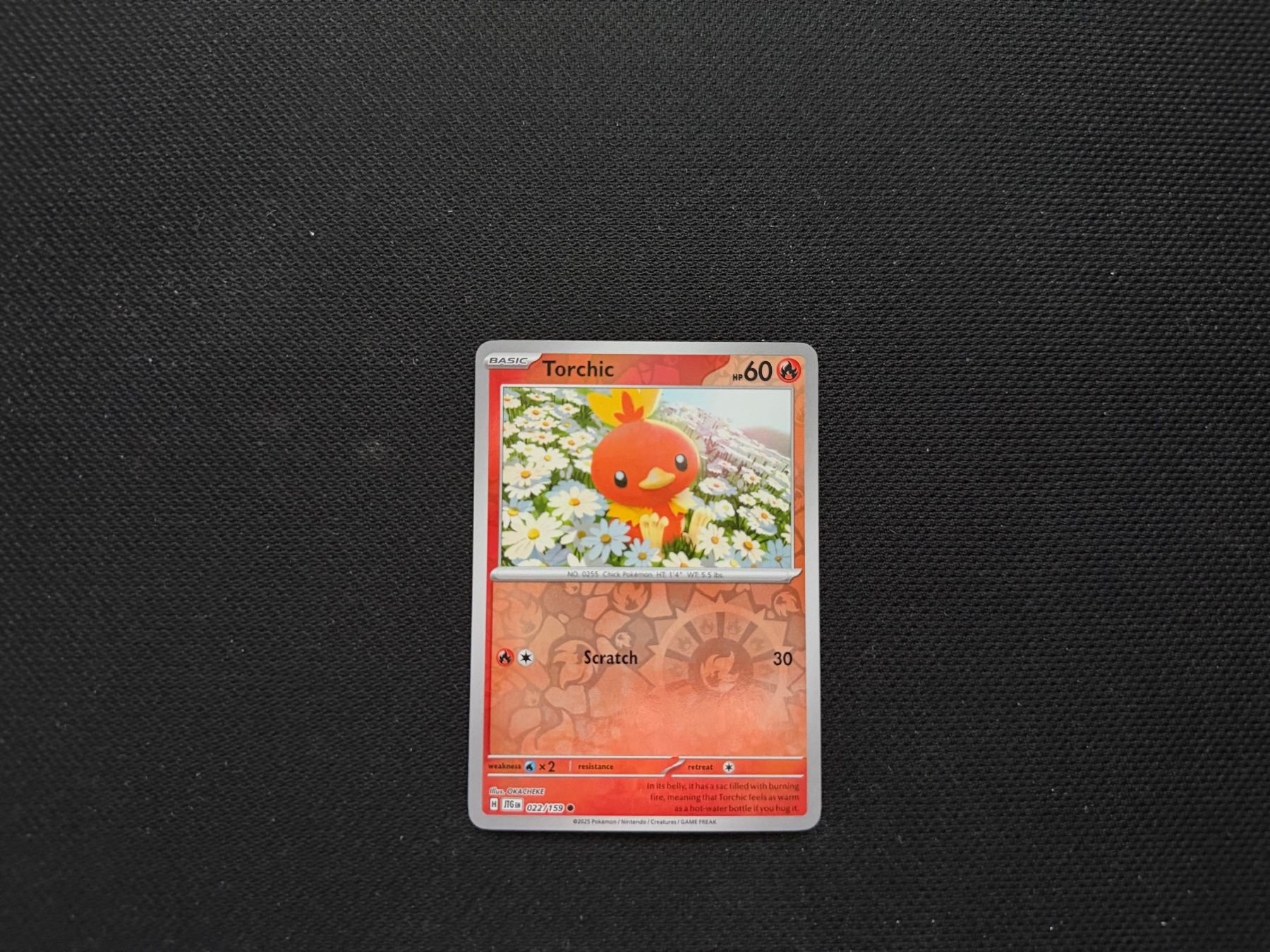 Pokémon Carte collezionabili: Torchic 022/159 – Usato da Zürich venduto da mountainwizard00