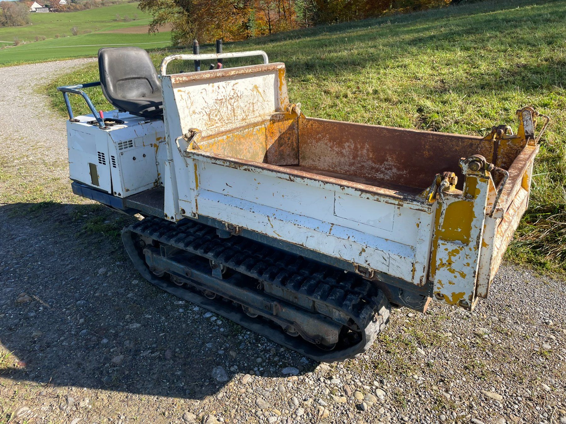 Tutte le macchine: Raupenkarette – Usato da Mönchaltorf venduto da hubi2000