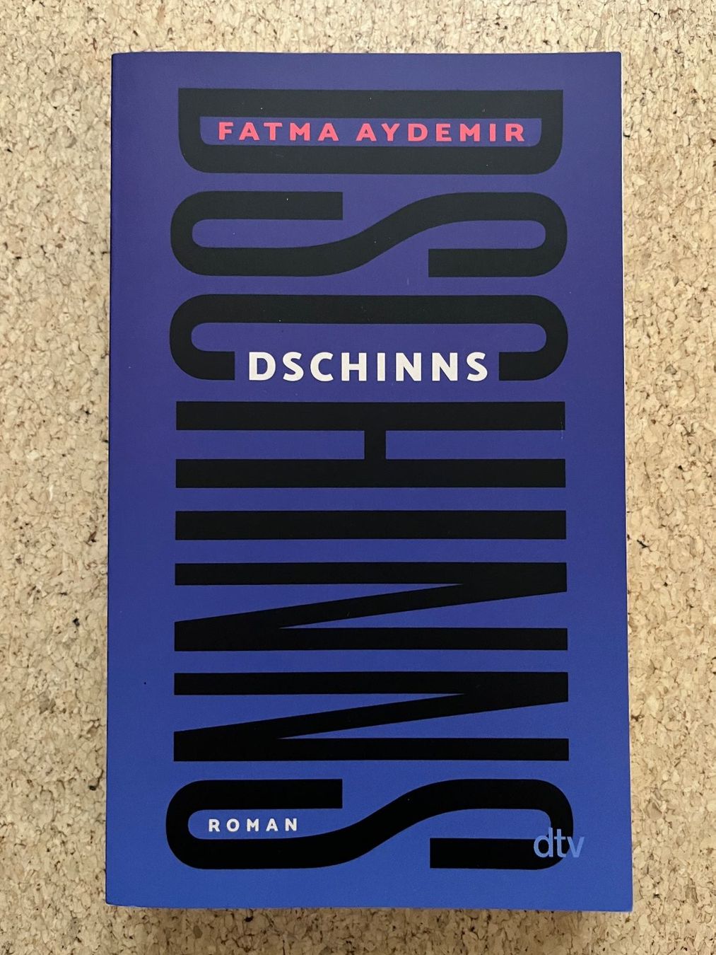 Libri: Taschenbuch "Dschinns", Fatma Aydemir – Usato da Grosswangen venduto da Vita500