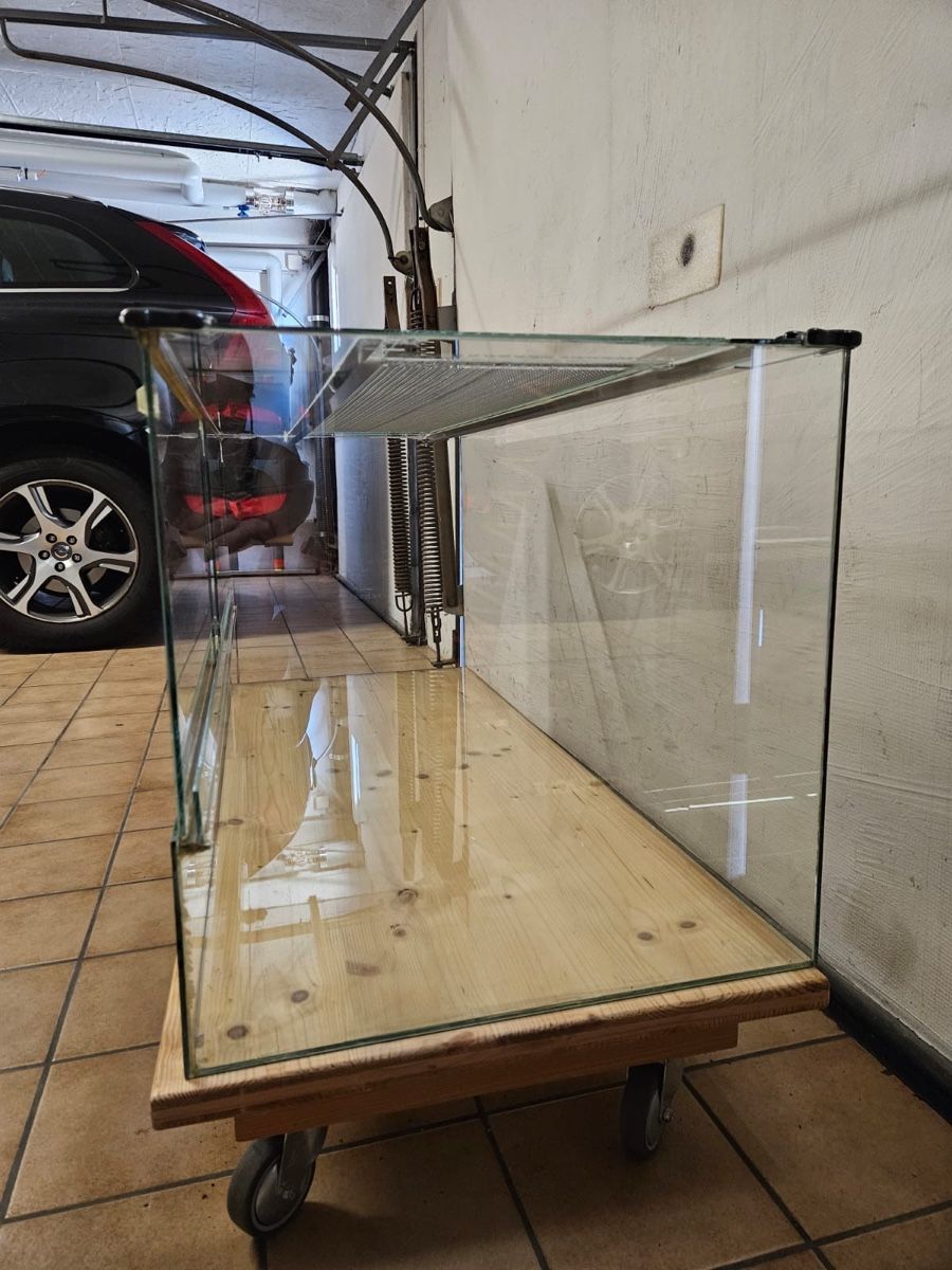 Terrario: Glas-Terrarium für Hamster oder Rennmäuse  – Usato da Wolfhausen venduto da FamB 2