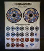Irisdiagnose Poster Iriskonstitutionstypen 50 x 70 cm