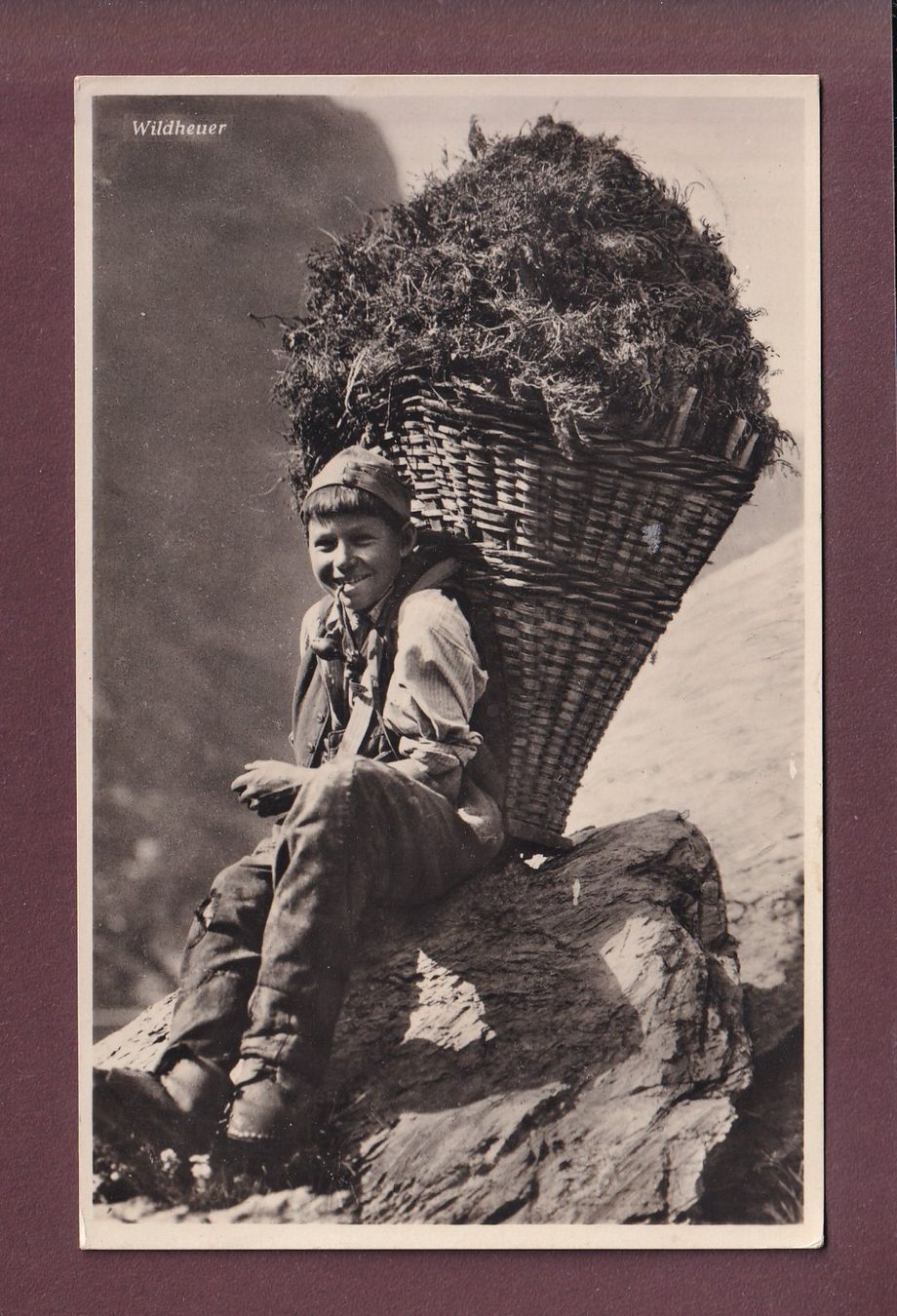 Cartoline postali: WILDHEUER - 1936 – Usato da Pully venduto da nicecards