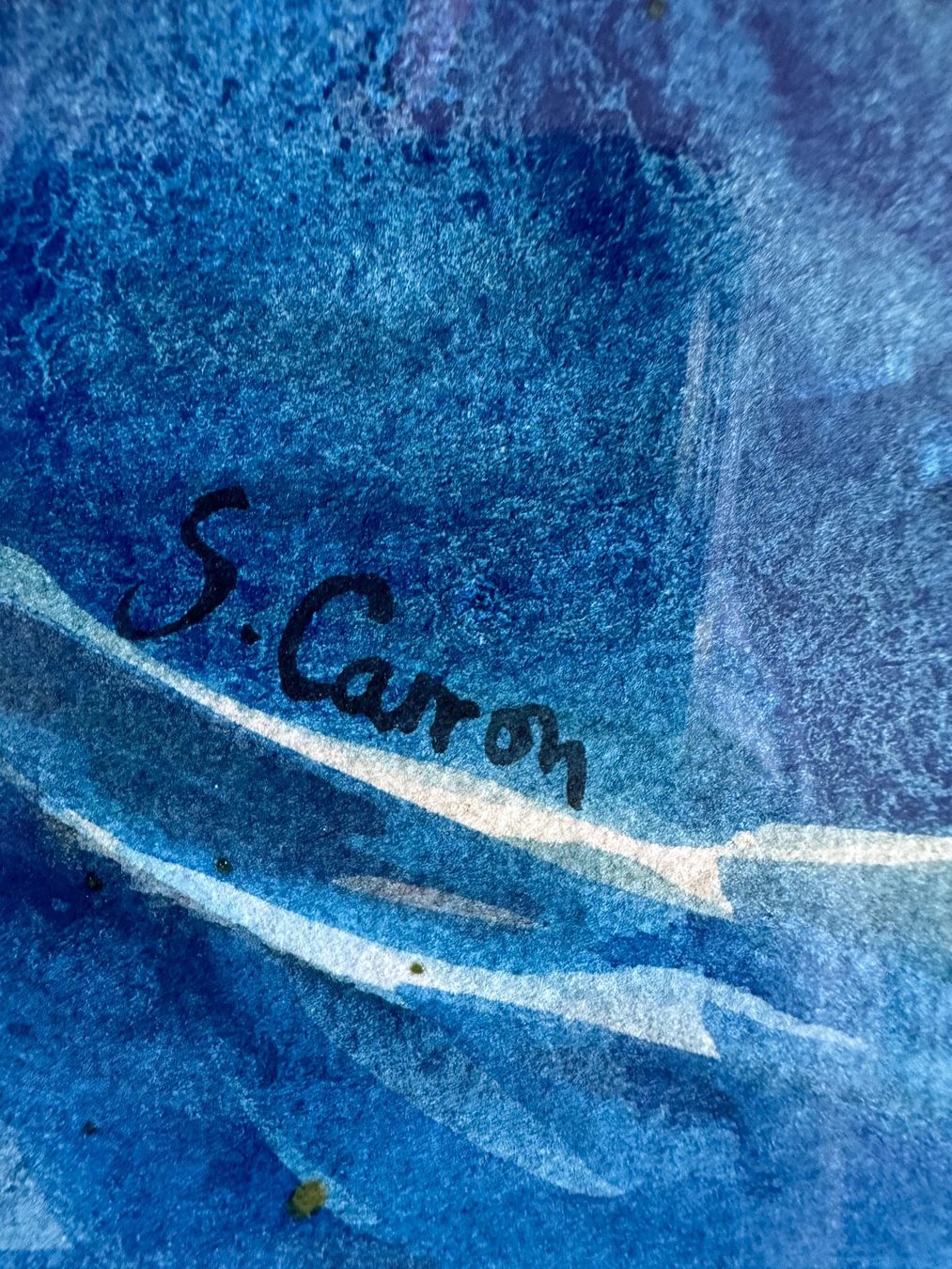 Dipinti: Aquarelle signée S Carron – Usato da Lausanne venduto da artnouveau04 2
