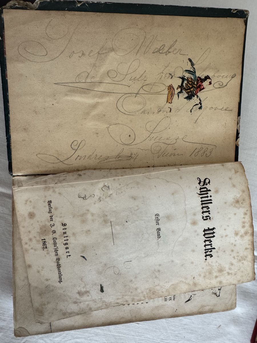 Libri: Teilweise Ledergebundene Bücher, Schiller – Usato da Langnau am Albis venduto da pla_2vk5 4