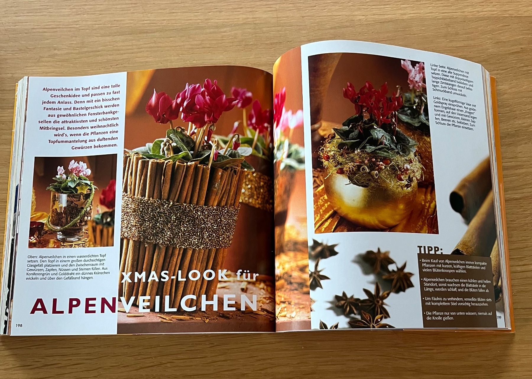Libri: 555 Dekoideen mit Blumen & Pflanzen – Usato da Eschlikon TG venduto da u_b_l8zm 3