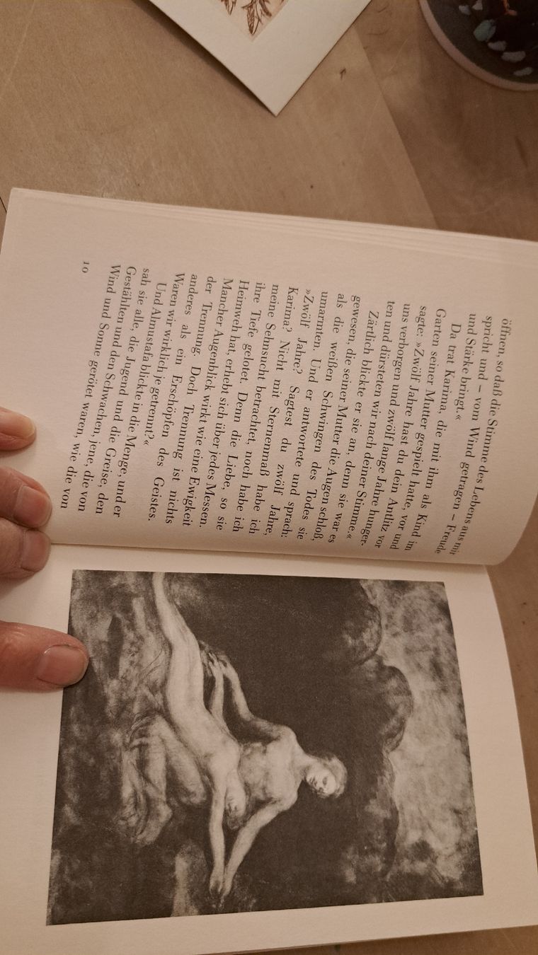 Libri: Khalil Gibran - Im Garten des Propheten – Usato da Zürich venduto da chusel 6
