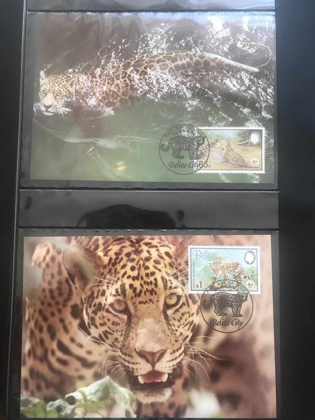 Tutti i francobolli: Belize 1983 WWF Satz Jaguar Maximumkarten – Nuovo (secondo la descrizione) da Liestal venduto da schnueps 1