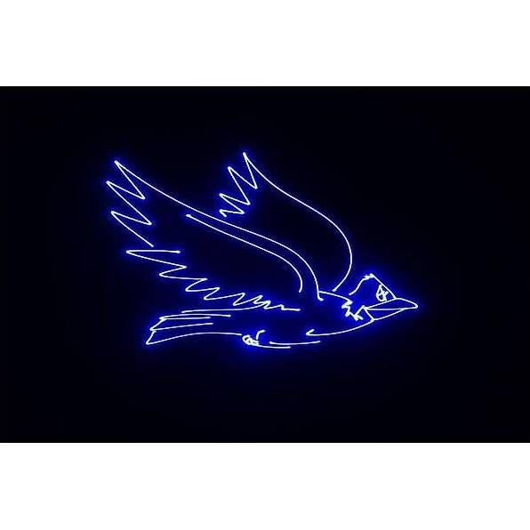 Tutte le decorazioni: Laserworld EL-400RGB S – Usato da Treyvaux venduto da Maxime1003 4
