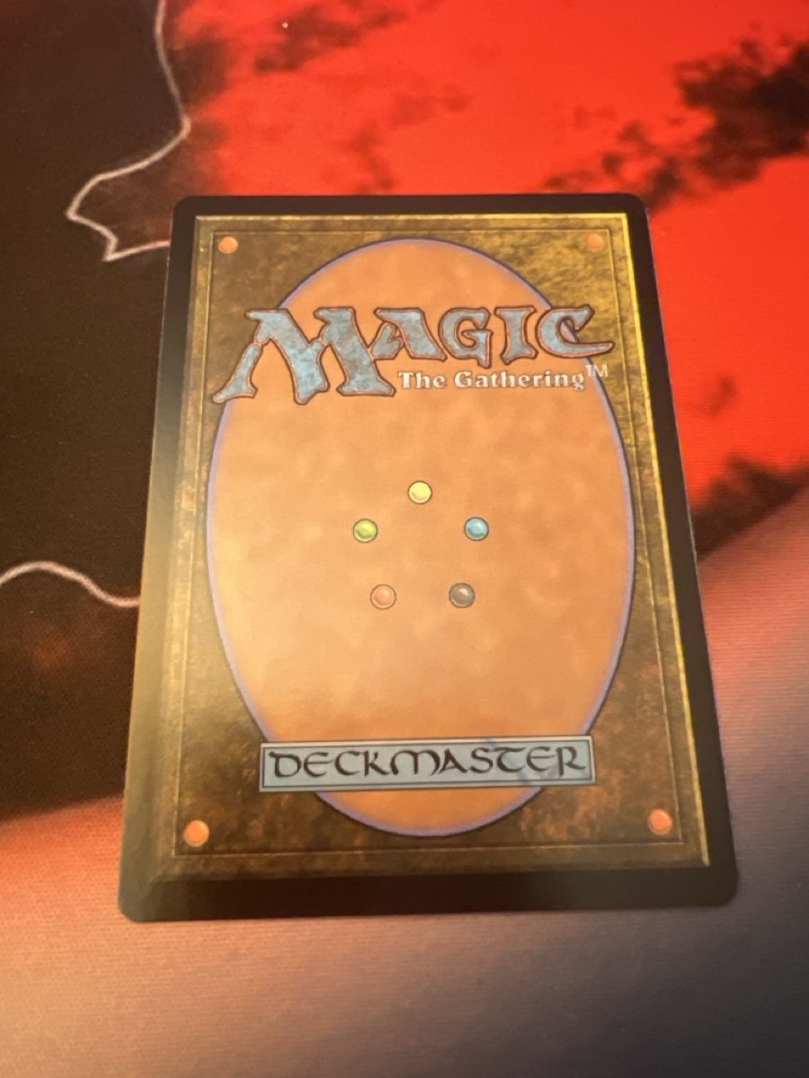 Magic The Gathering Carte collezionabili: Magic The Gathering Warrior's Oath, NM – Usato da St. Gallen venduto da lob_bkw9 2